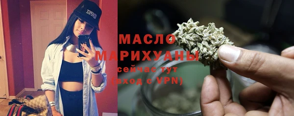 твердый Мегион